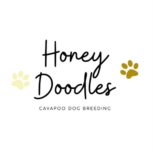 Logo Honey Doodles – hodowli psów rasy Cavapoo, z ozdobnymi odciskami łap, partnera marki Paw Rituals.